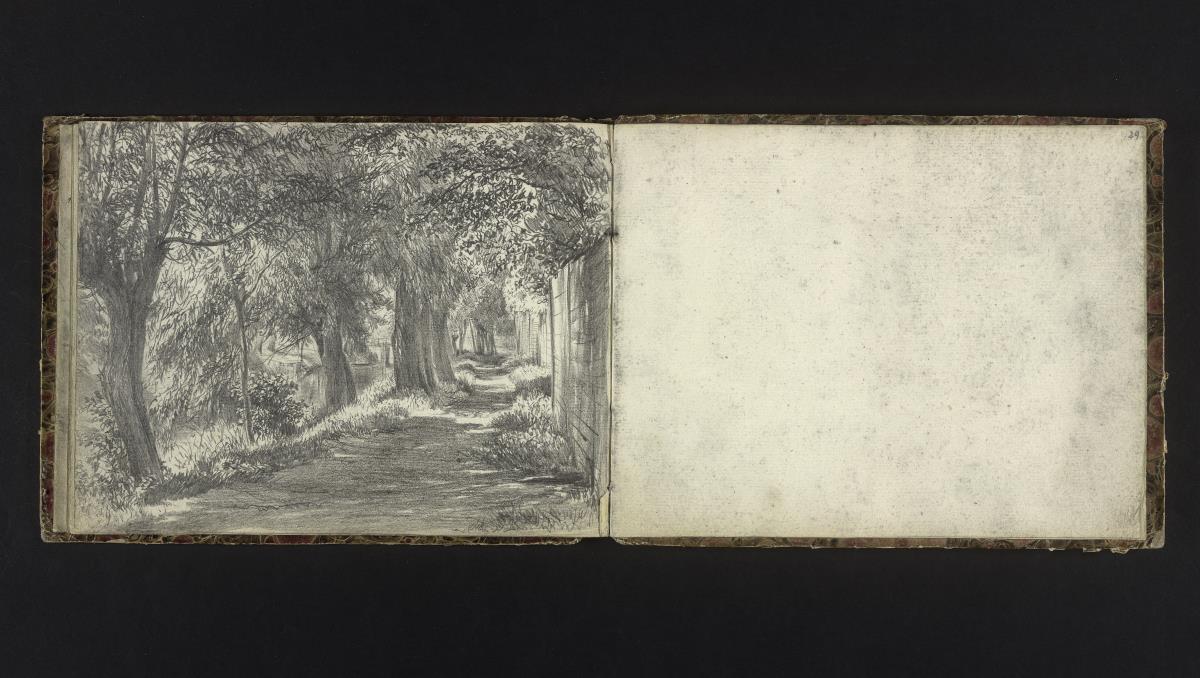 Fußweg und Bach unter alten Bäumen, rechts ein Plankenzaun