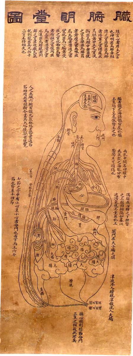 "Akupunkturtafel (?)": 明堂圖 Cangfu (??) mingtang tu.