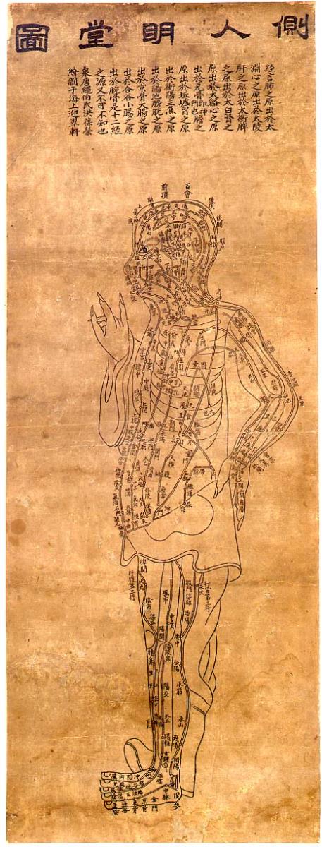 "Akupunkturtafel": 側人明堂圖 Ce ren mintang tu