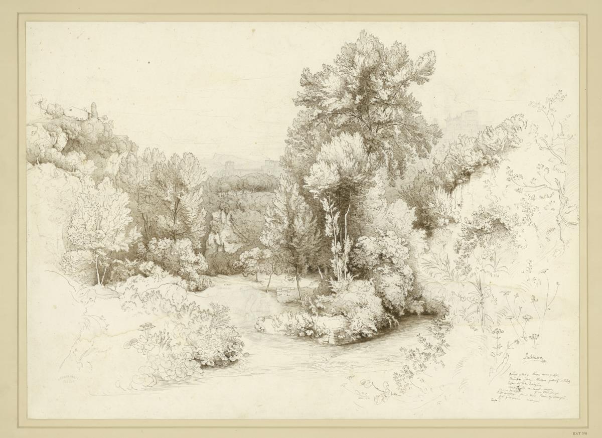 Waldniederung bei Subiaco