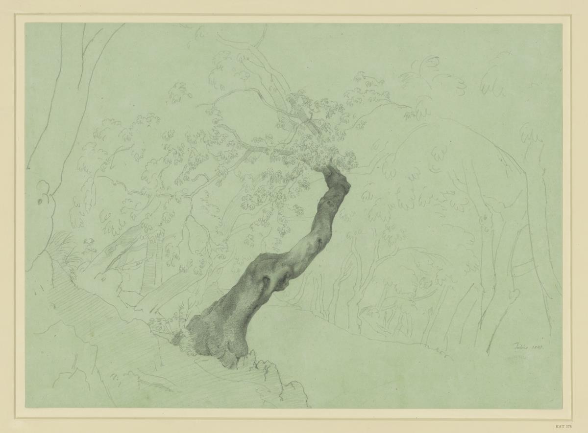 Knorriger Baumstamm und Waldskizze