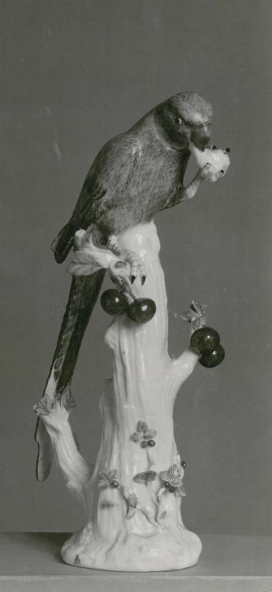 Alexandersittich
