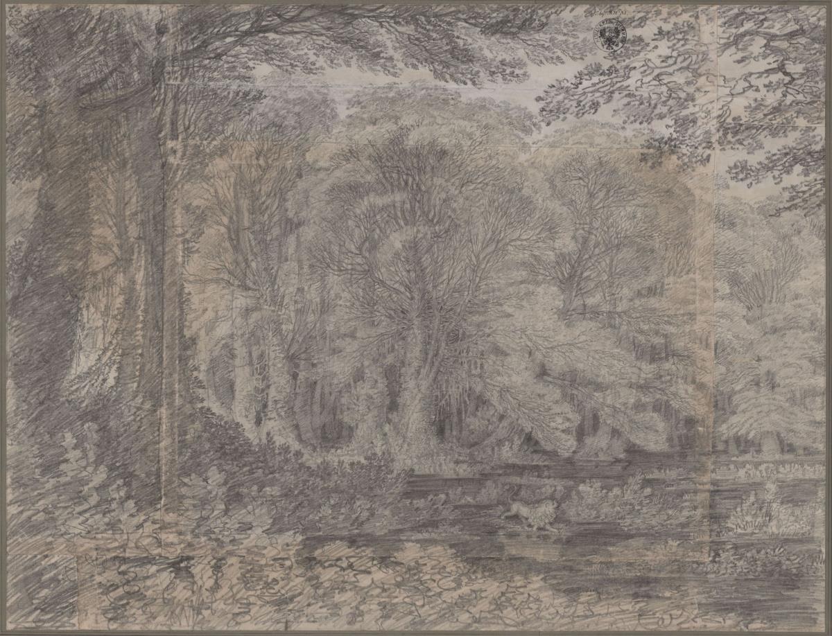 Sumpfiger Wald mit einem vorüberziehenden Löwen