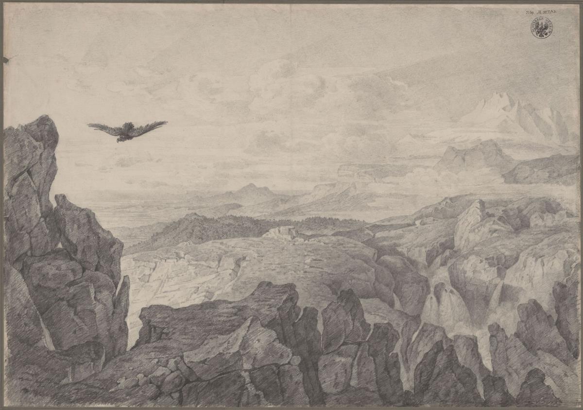 Gebirgslandschaft mit schwebendem Adler
