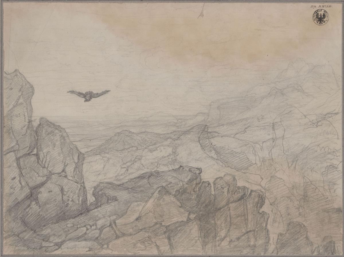 Gebirgslandschaft mit schwebendem Adler