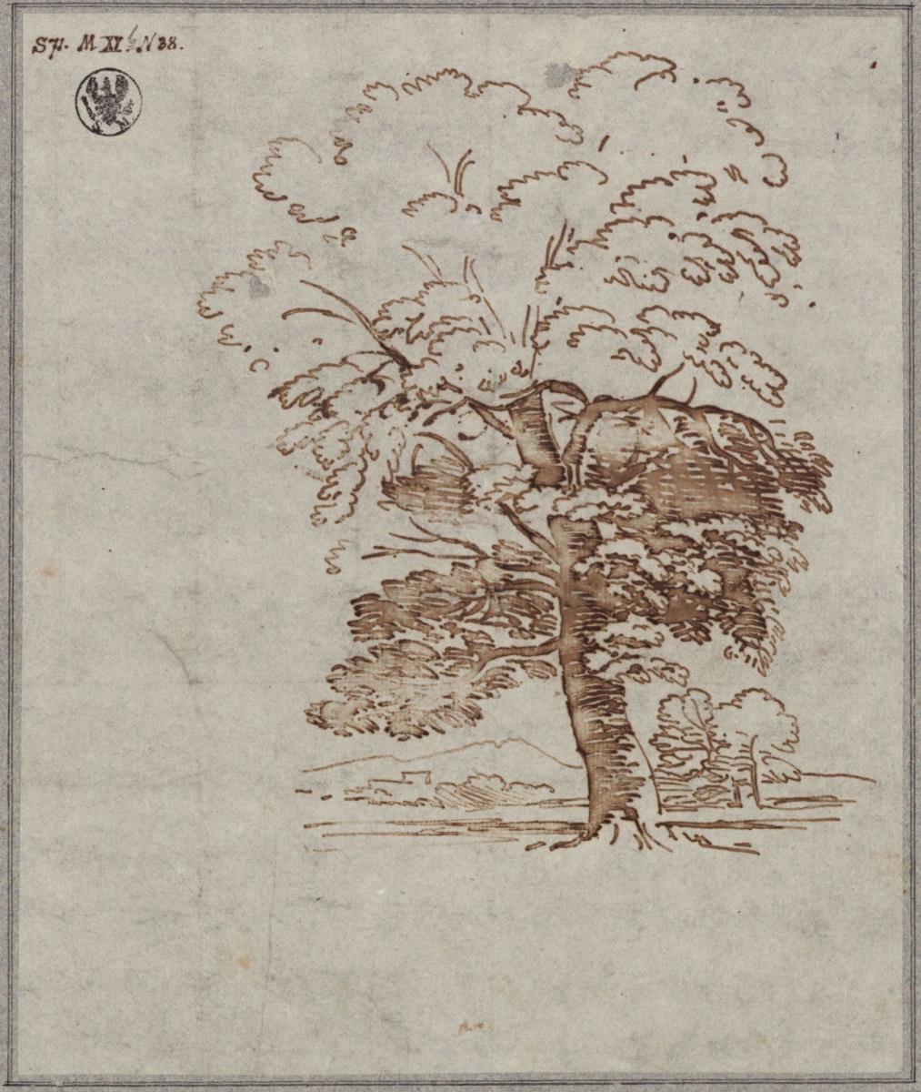 Baumstudie