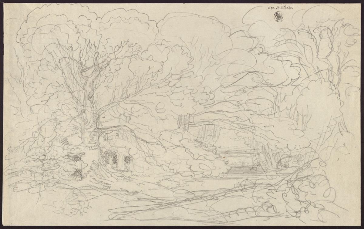 Eine Waldlandschaft