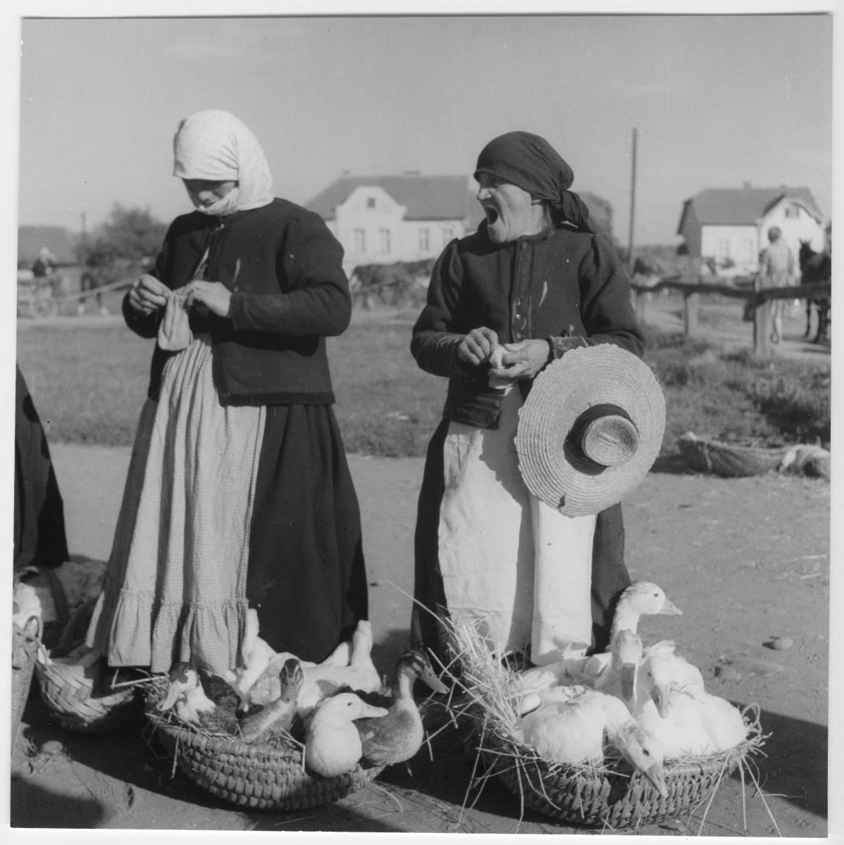 o.T. [Zwei Frauen mit Gänsen auf dem Geflügelmarkt]