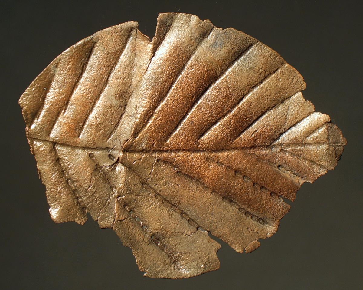 Blatt aus Blech