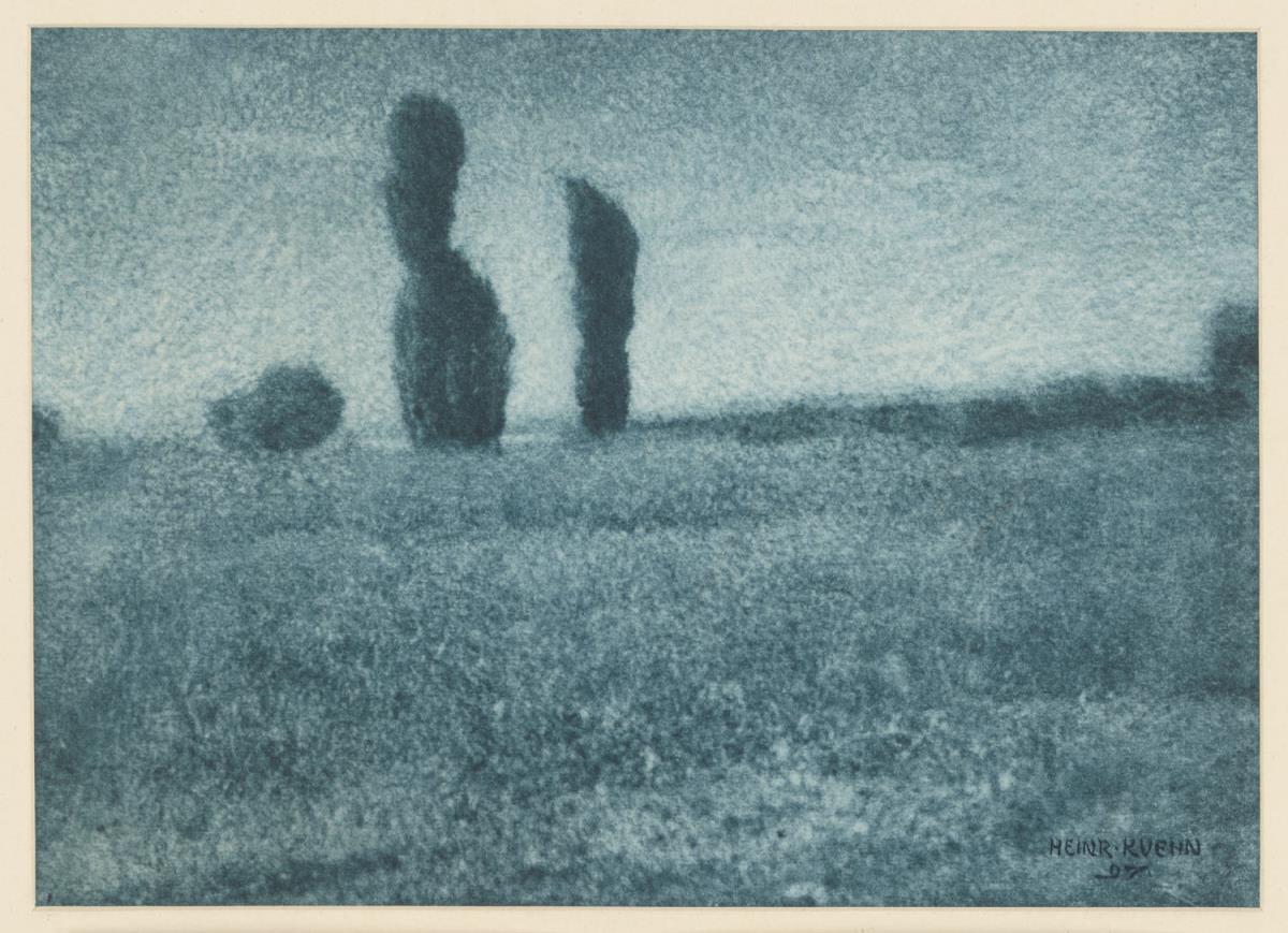 Sommerlandschaft