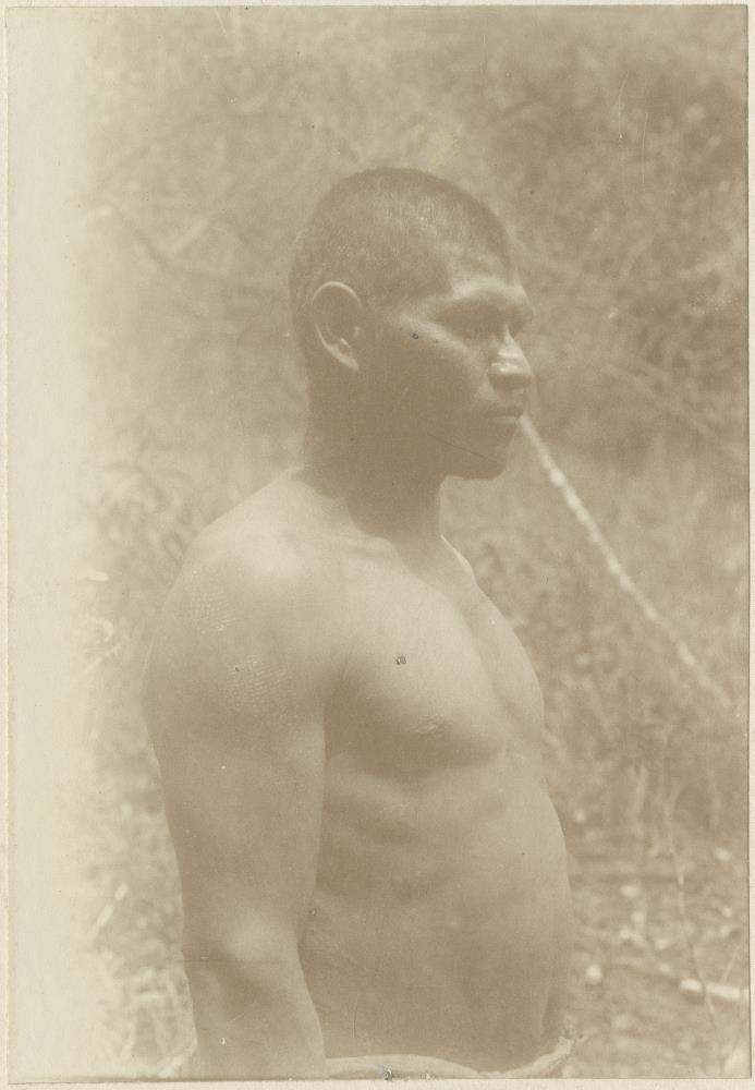 Kainguá