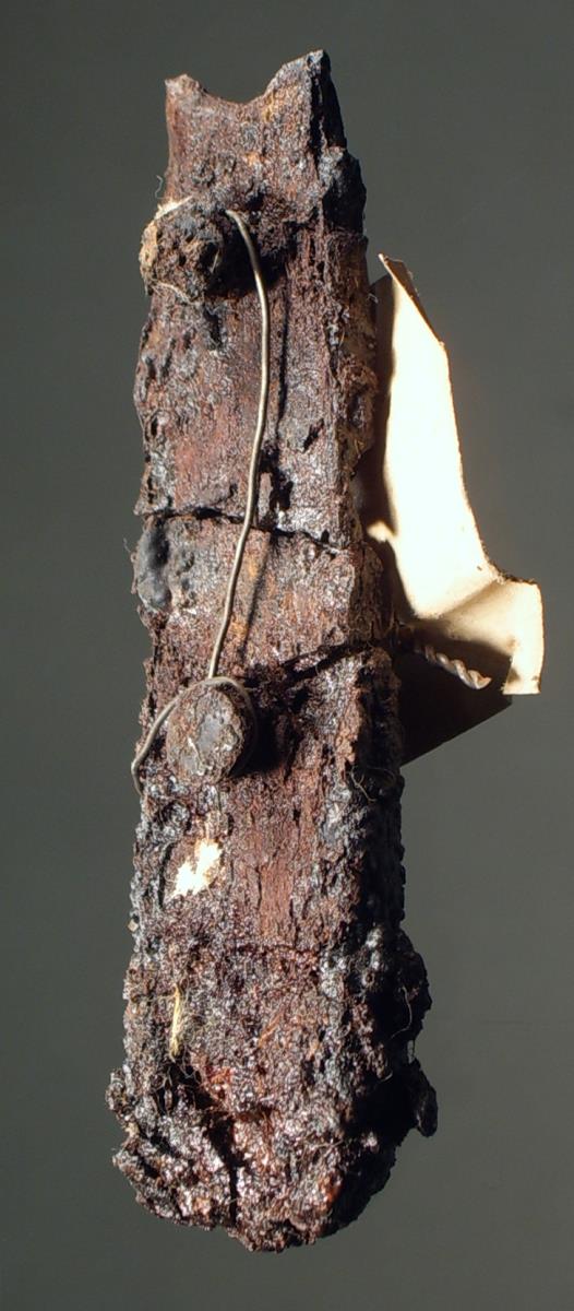 Messergriff mit Rest des hölzernen, mit je zwei Nieten befestigten Griffbeschlags