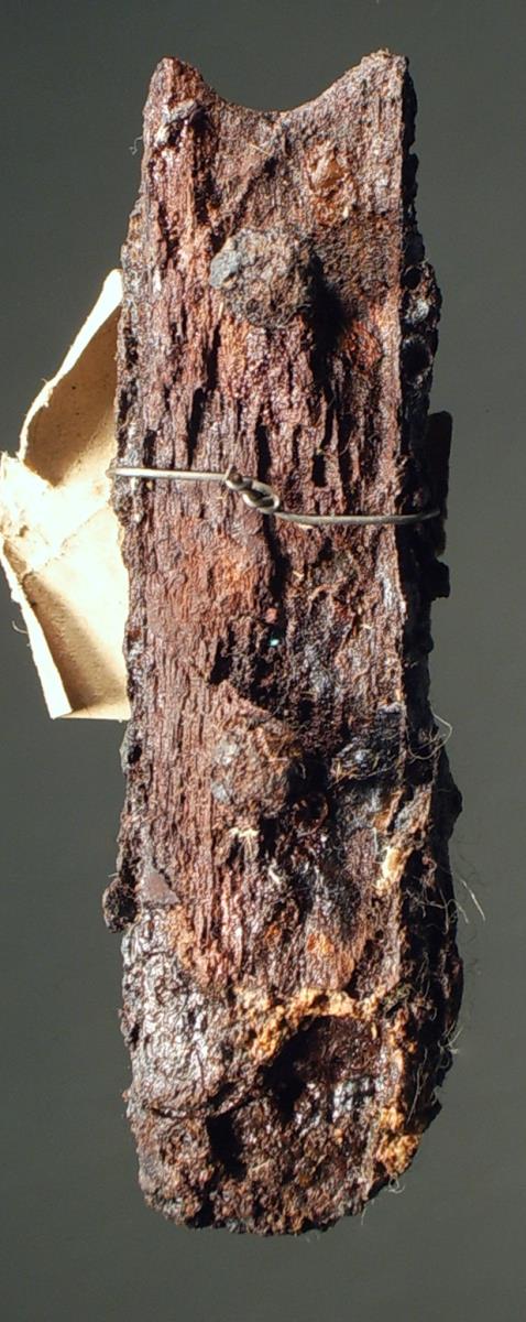 Messergriff mit Rest des hölzernen, mit je zwei Nieten befestigten Griffbeschlags