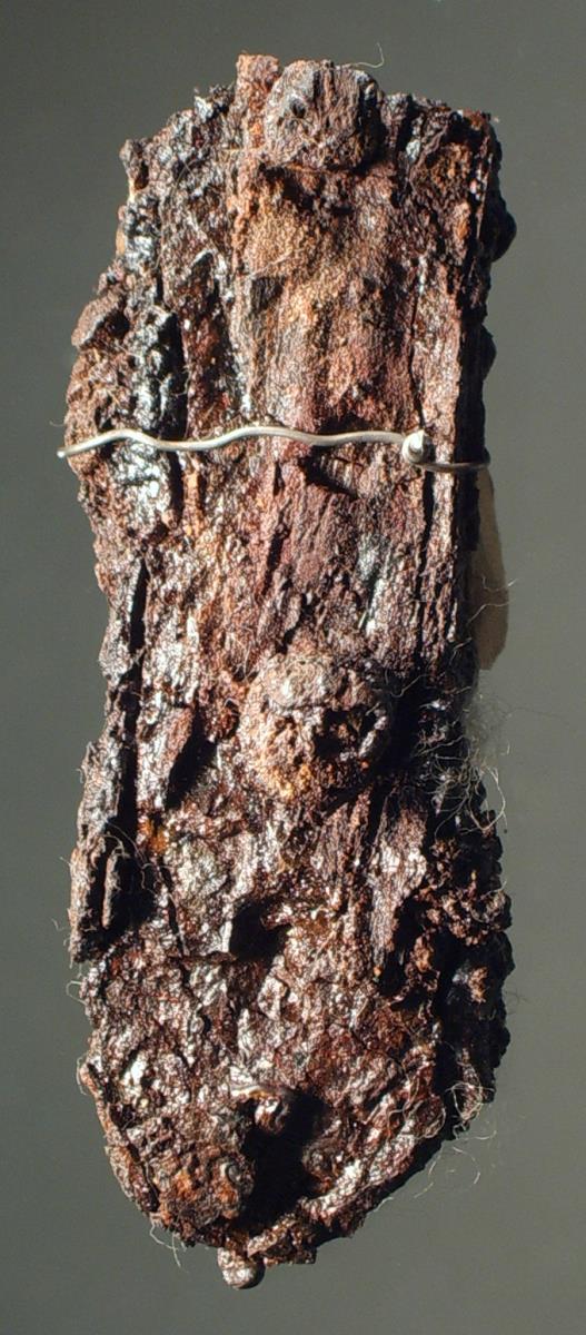 Messergriff mit Rest des hölzernen, mit je zwei Nieten befestigten Griffbeschlags