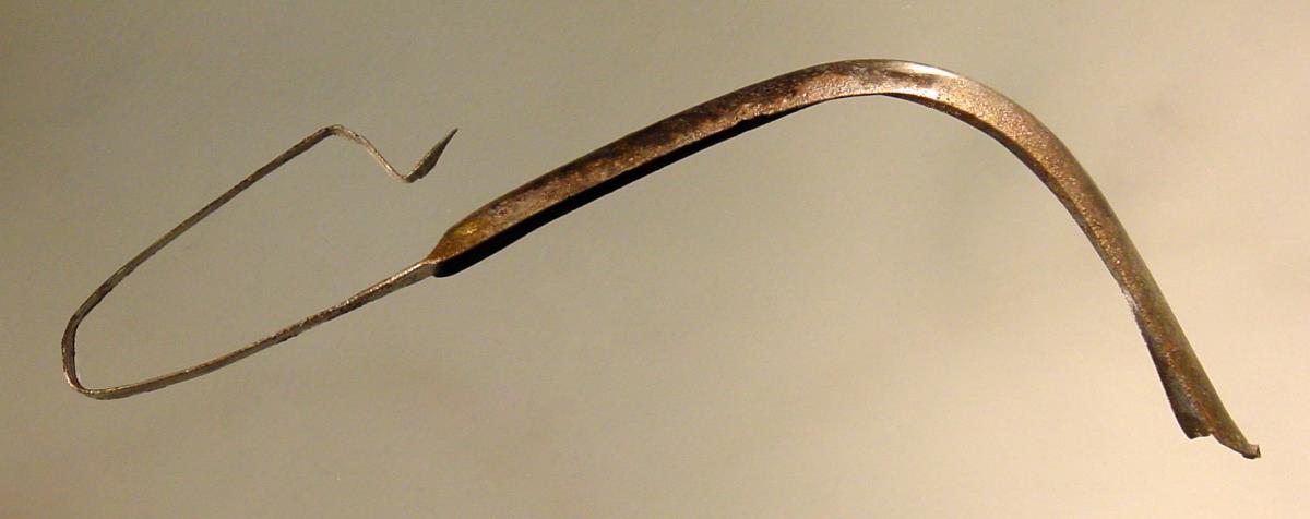 Strigilis