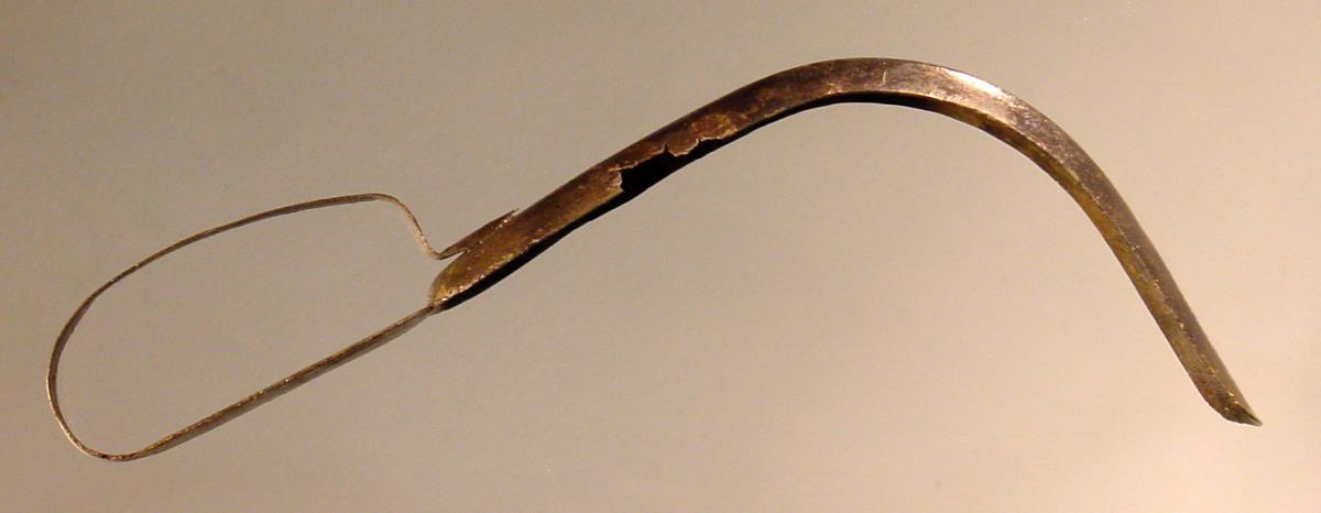 Strigilis