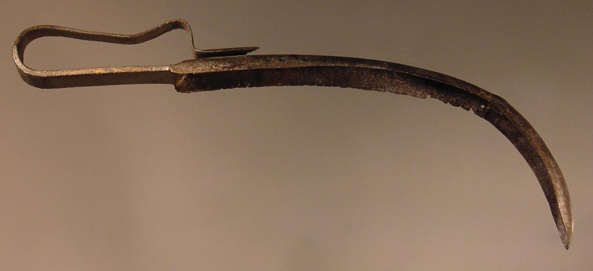 Strigilis