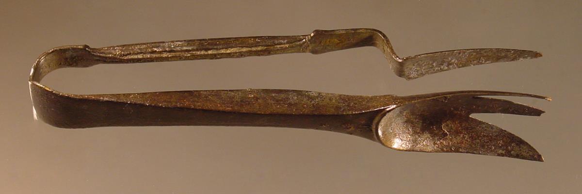 Strigilis