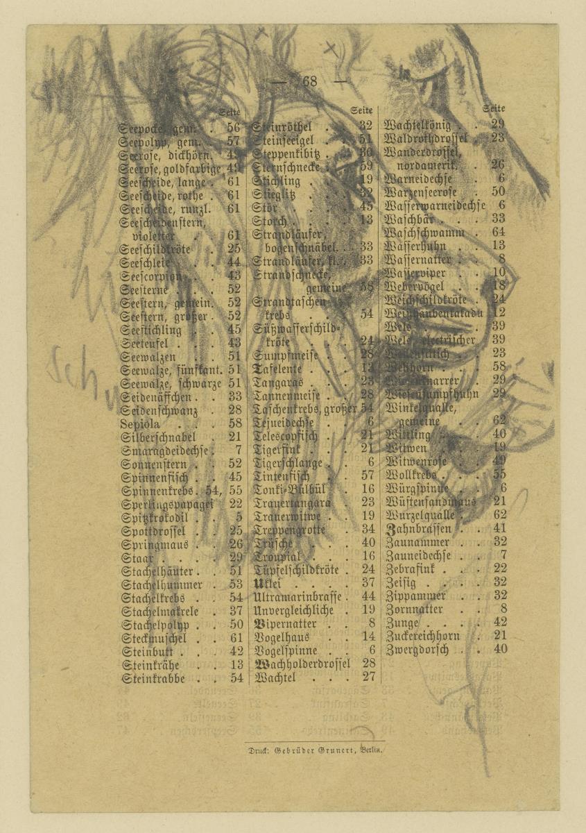 Löwenkopf nach Rechts und Details, gezeichnet auf dem Register "Die Thierwelt im Zoologischen Garten in Berlin"