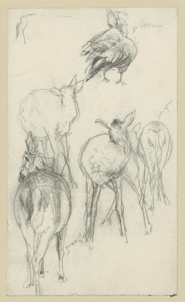 Rehe und Vogel