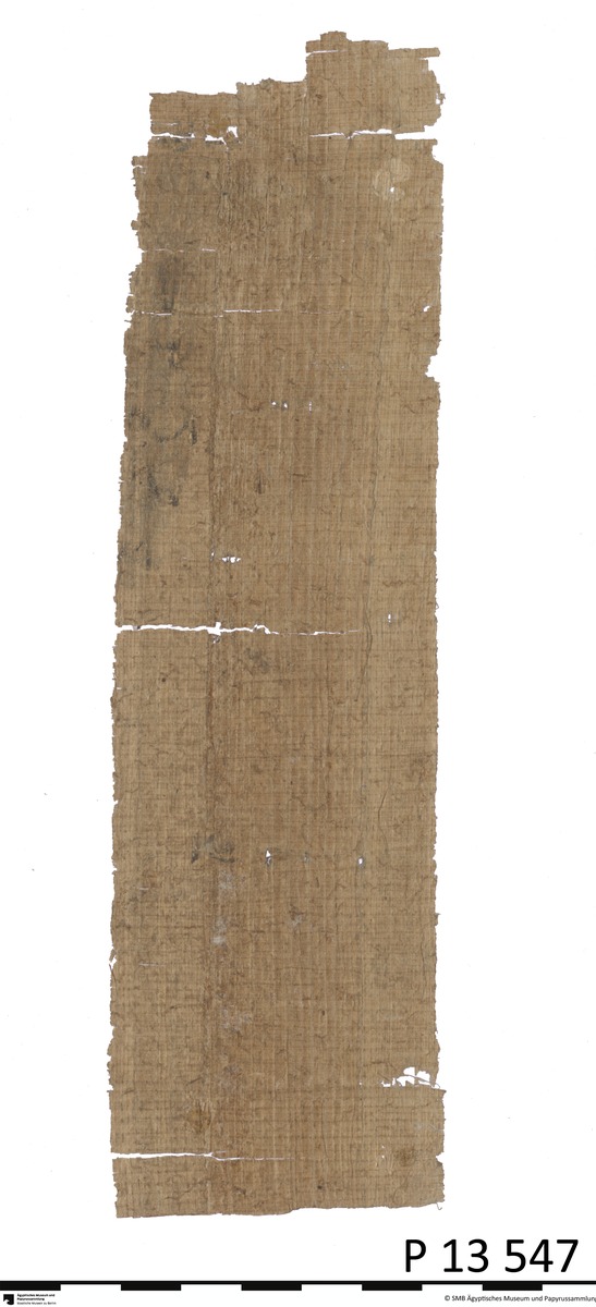 Demotischer Papyrus, Hochformat-Brief an Schreiber Haryothes wegen Eselfleisch für Falken