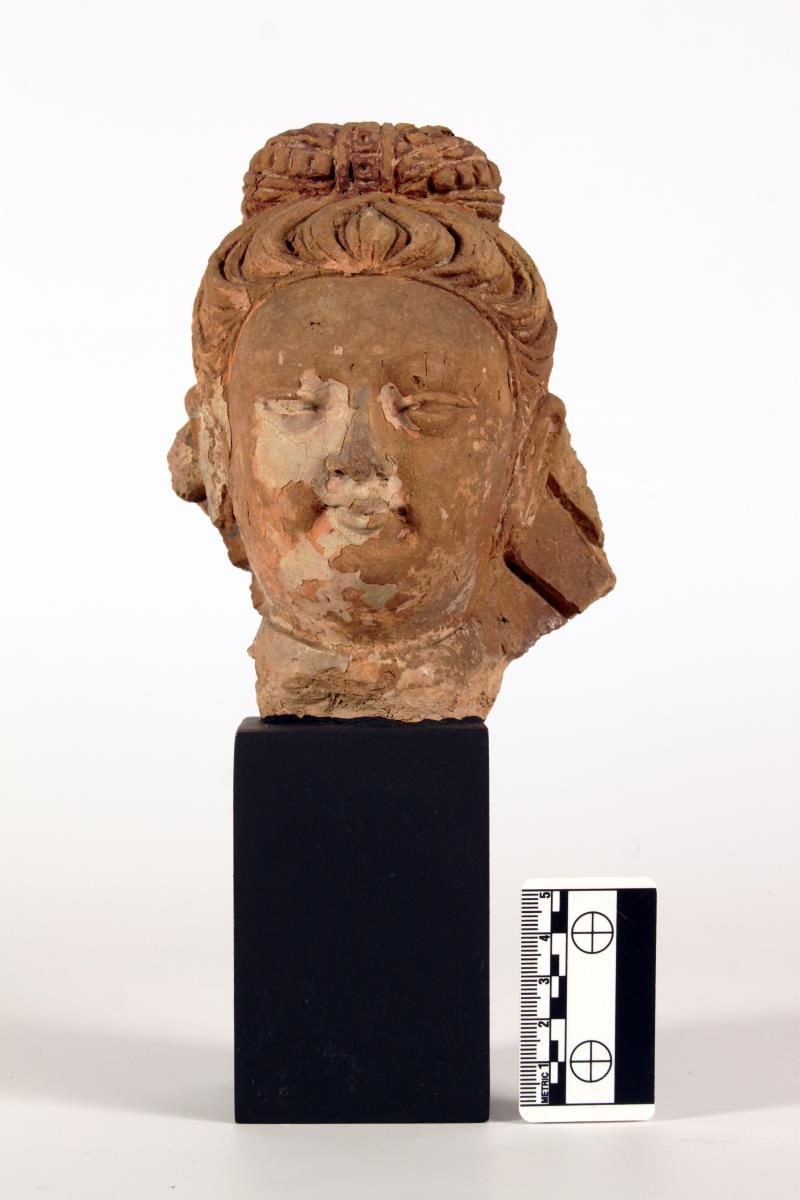 Bodhisattva