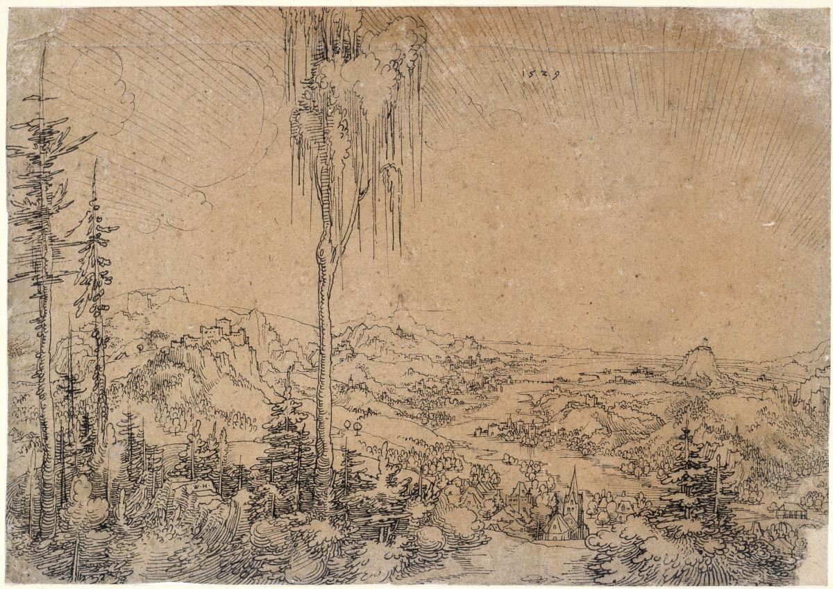 Donaulandschaft