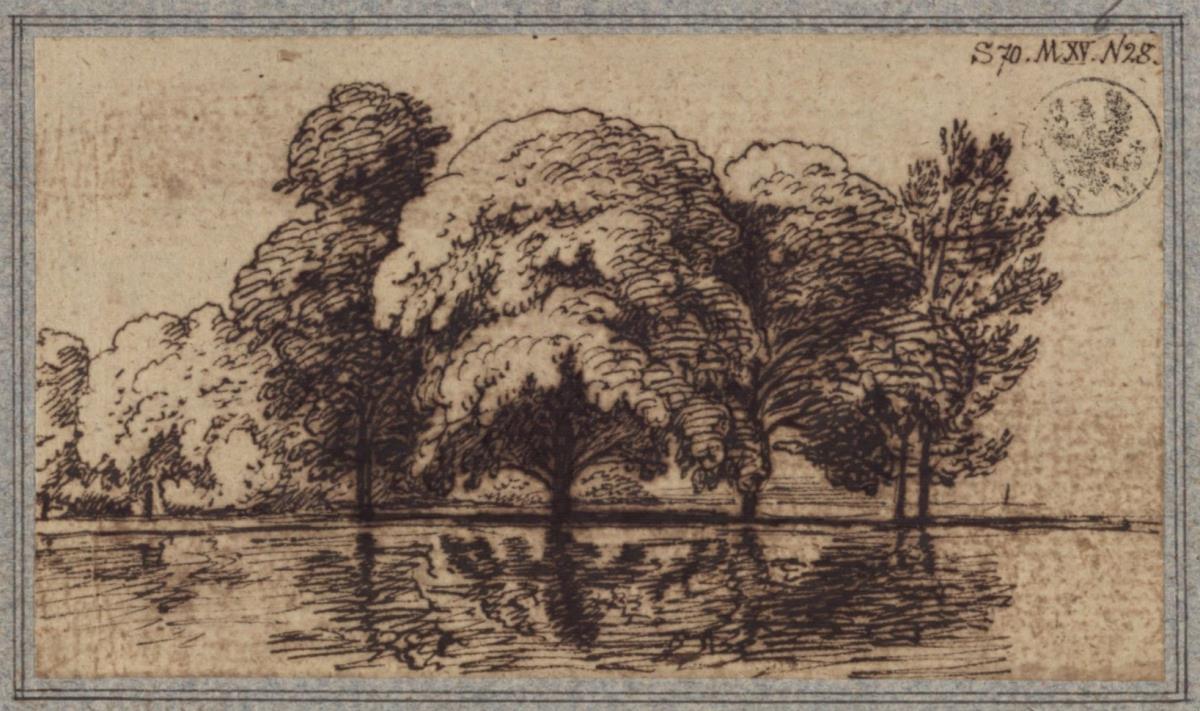 Baumpartie am Wasser