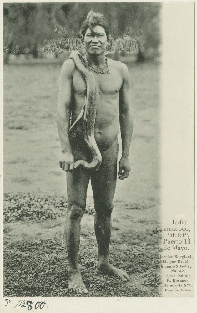 Indio Chamacoco, "Millet", Puerto 14 de Mayo