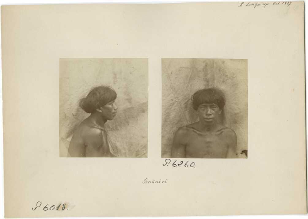 Bakairi-Indianer