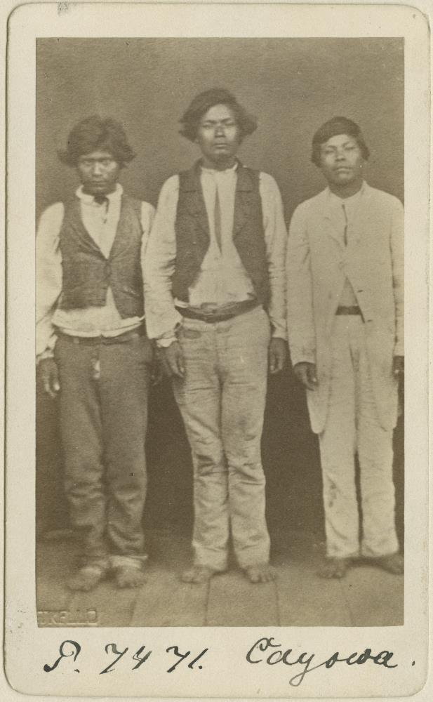 Guarani Kaiowá - Indianer