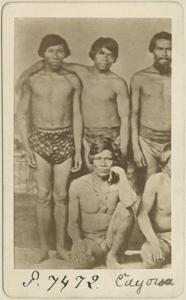 Guarani Kaiowá - Indianer