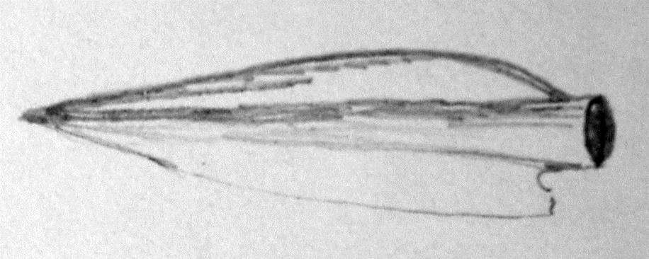 Pfeilspitze, platte, blattförmige Tüllenpfeilspitze (mit einem Widerhaken)
