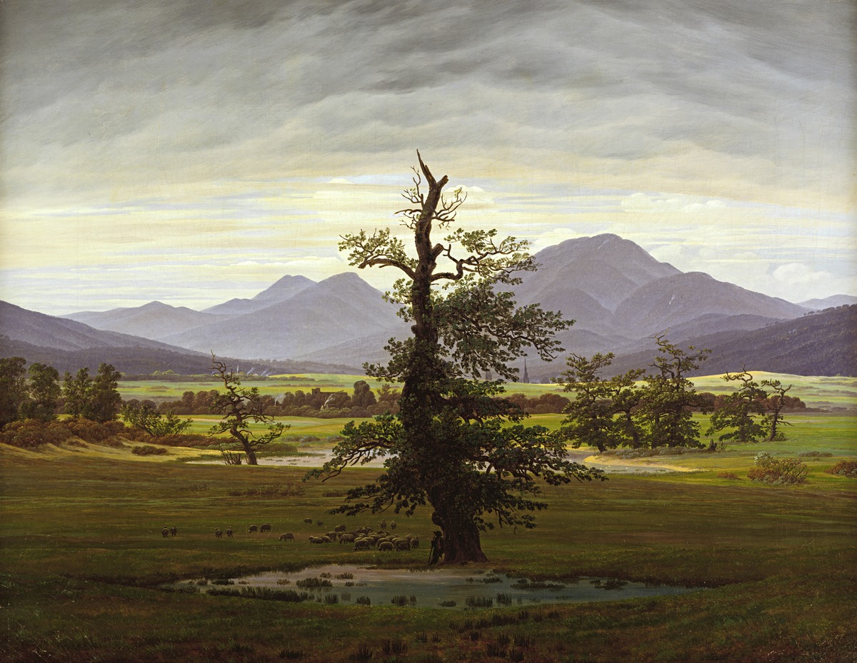 Der einsame Baum