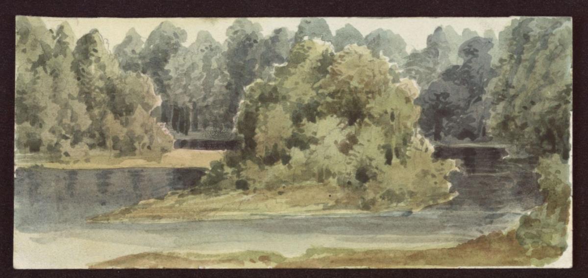 Waldlandschaft mit Fluss