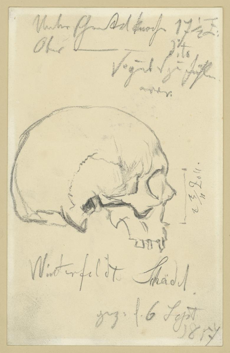 Schädel des Hans Karl von Winterfeldt