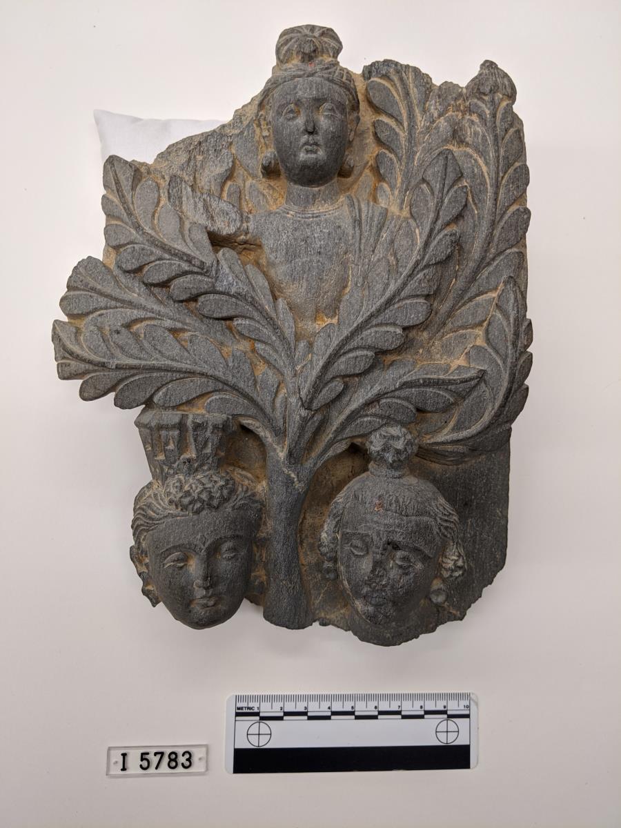 Erzählende Szene, evtl. Fragment aus einer Szene des Dahinscheidenden Buddha (mahaparinirvana): Yaksha in Shala-Baum, Kopf einer Stadtgöttin und eines Klagenden