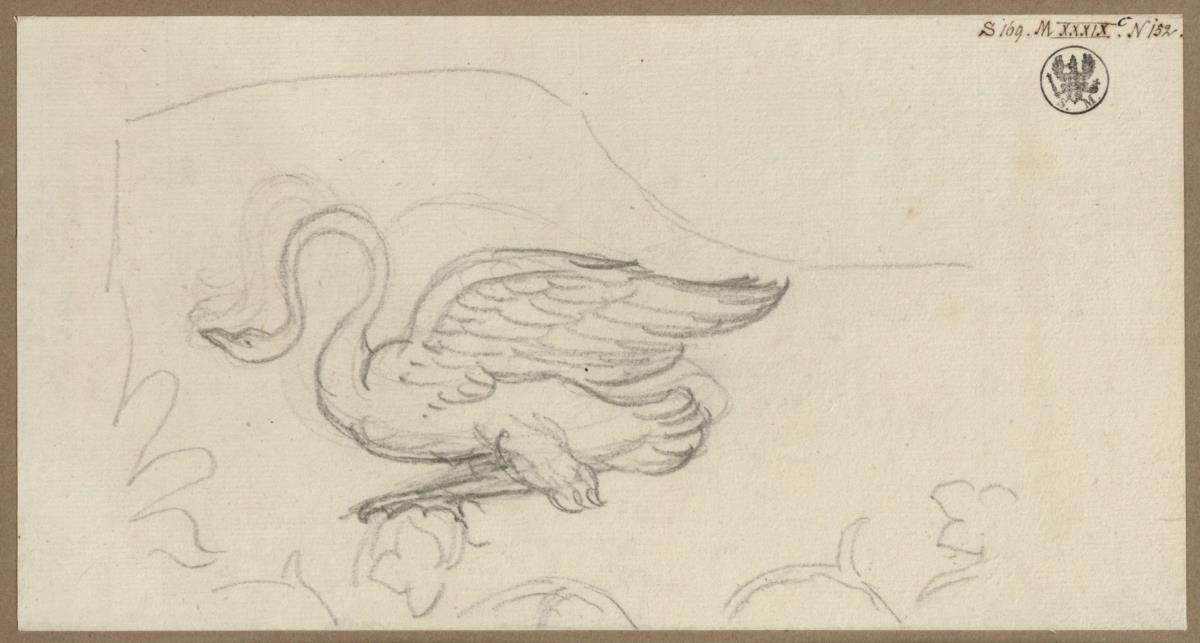 Ein Schwan