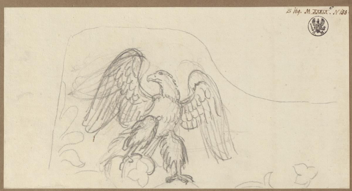 Ein Adler