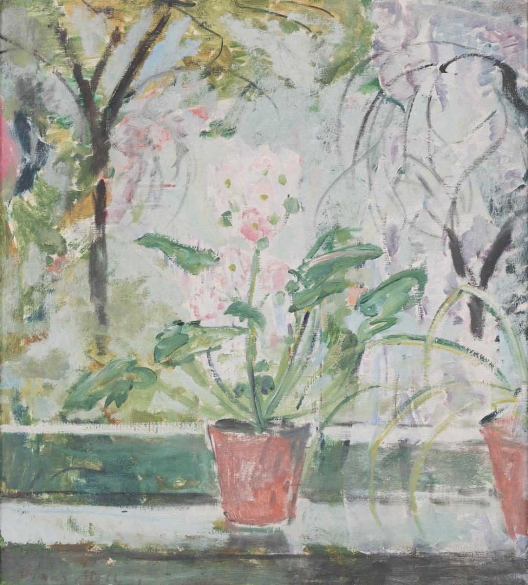 Primel am Fenster