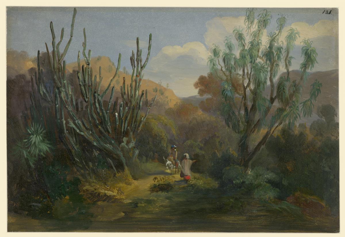 Landschaftsbild mit Kandelaberkakteen. Vegetation von Texcoco
