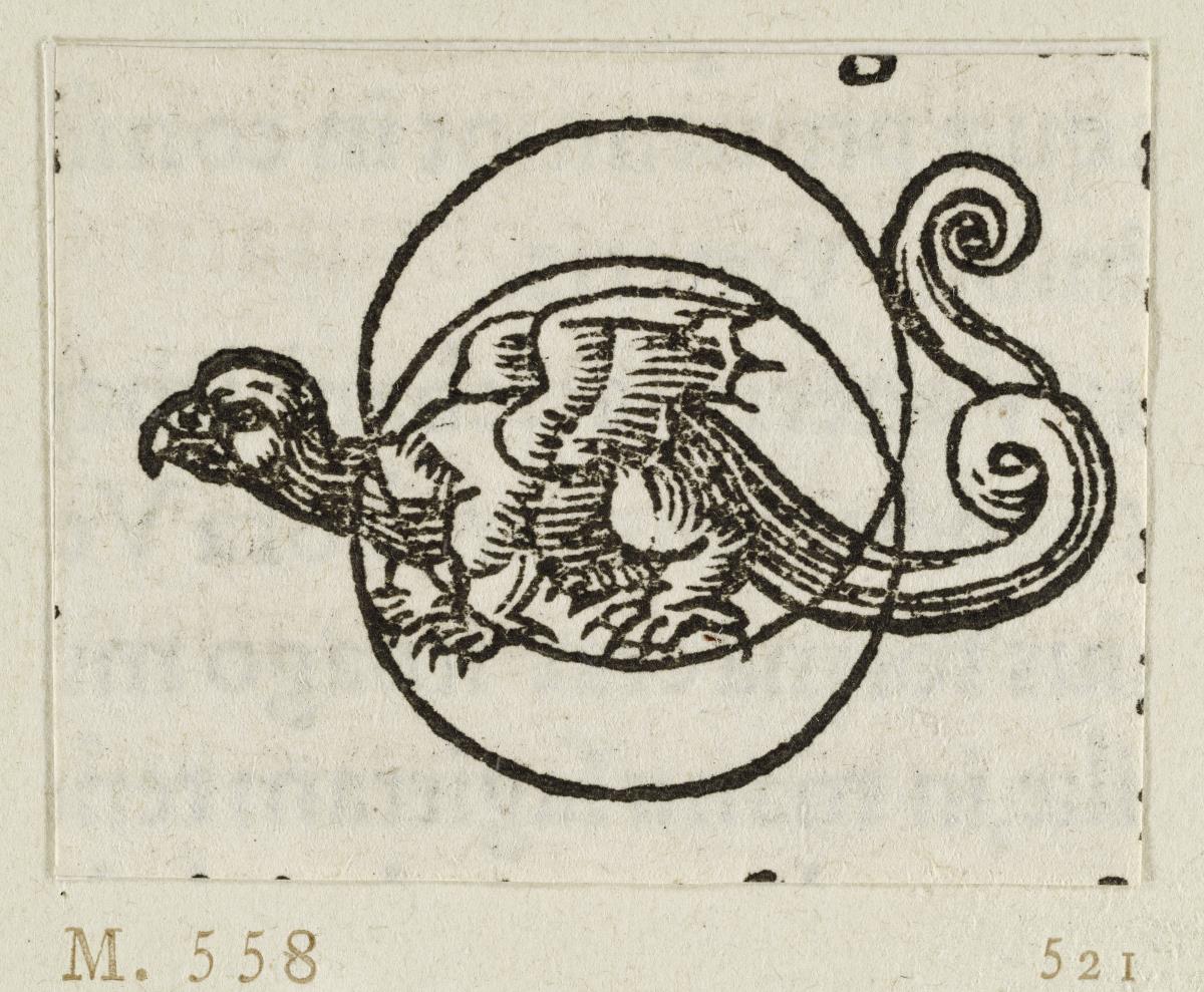Drache mit zwei Kreislinien über dem Körper