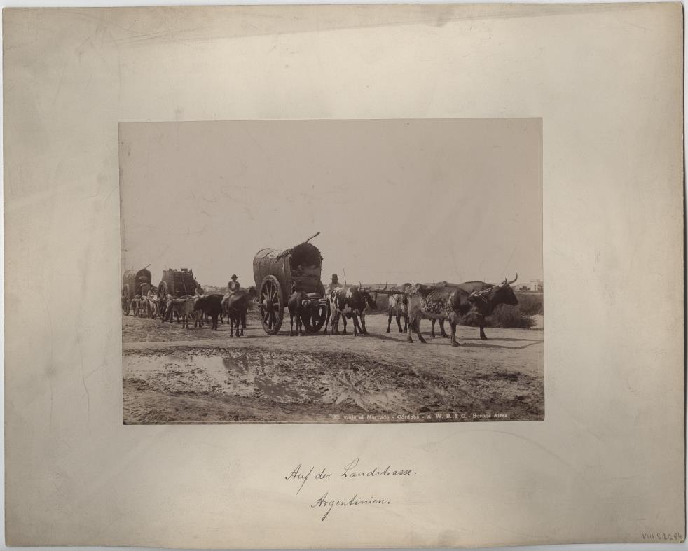 Ochsenkarren auf einer Landstrasse