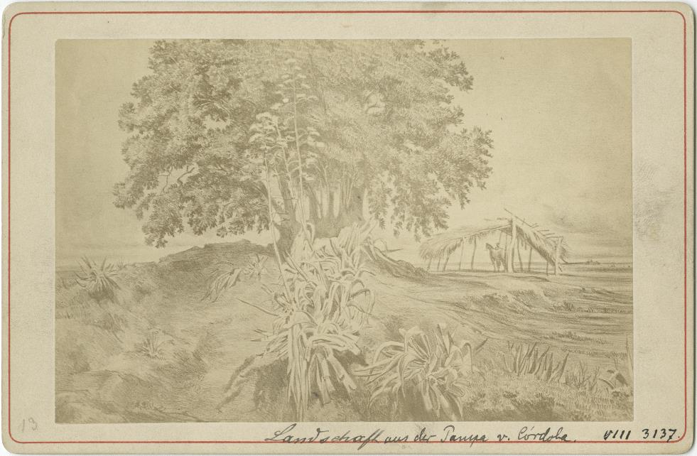 Landschaft aus der Pampa von Córdoba