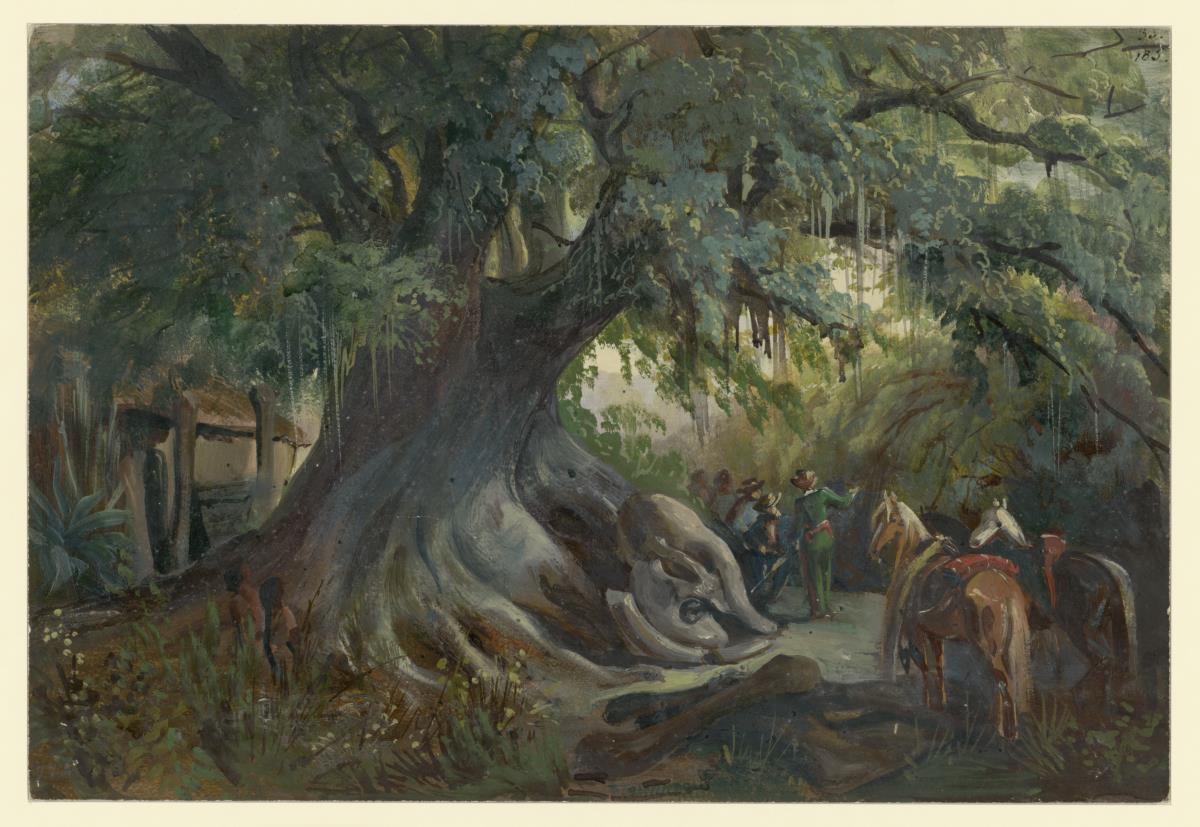 Reiter, die ihre Pferde abgestellt haben, unter einem großen Feigenbaum in der Nähe von San Marcos