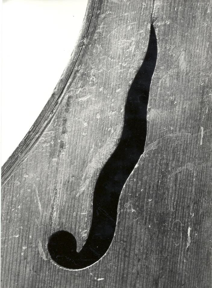 Bass-Viola da gamba