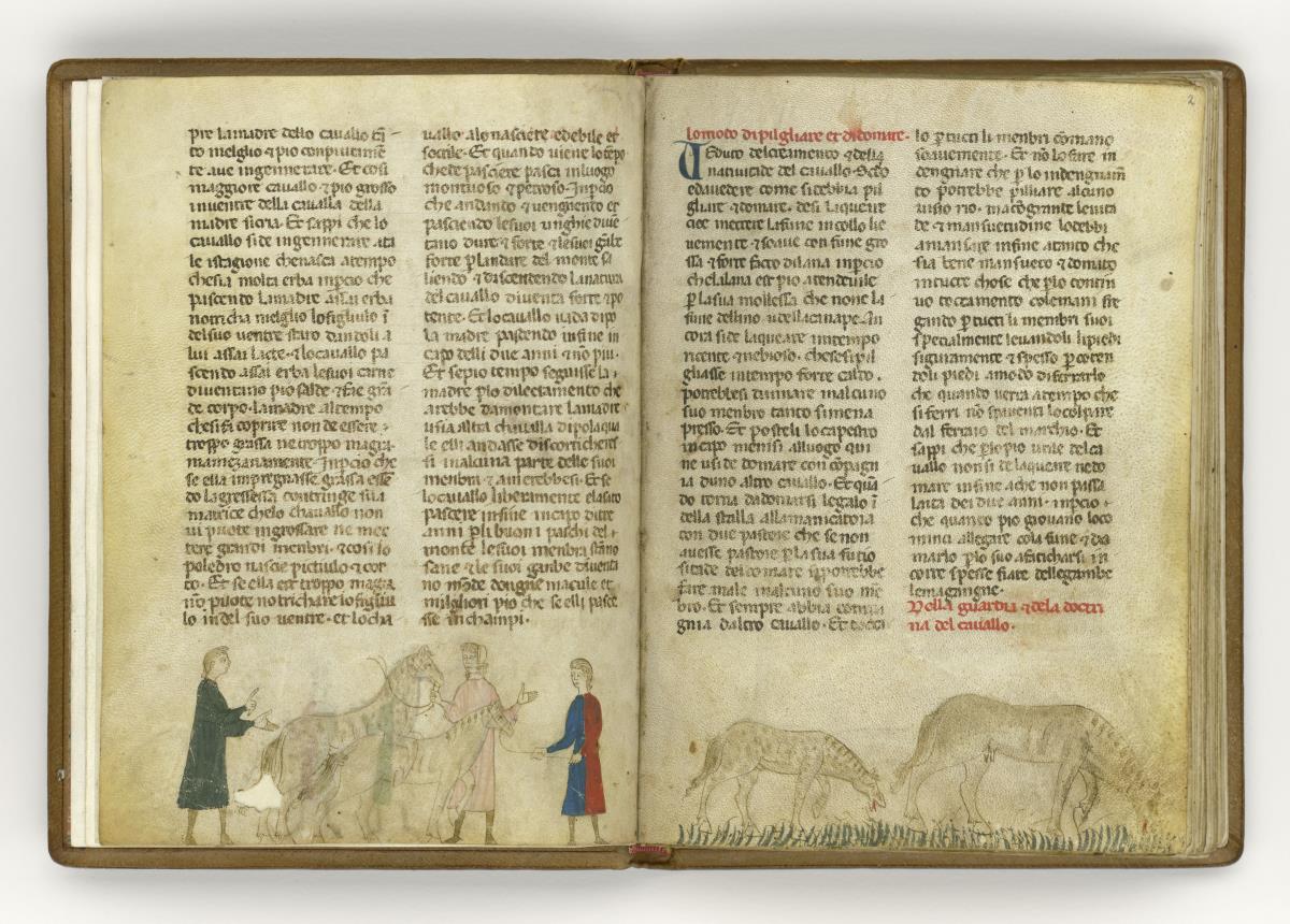 Giordano Rosso, Libro delle Mariscalcie dei cavalli. Beschälungsakt