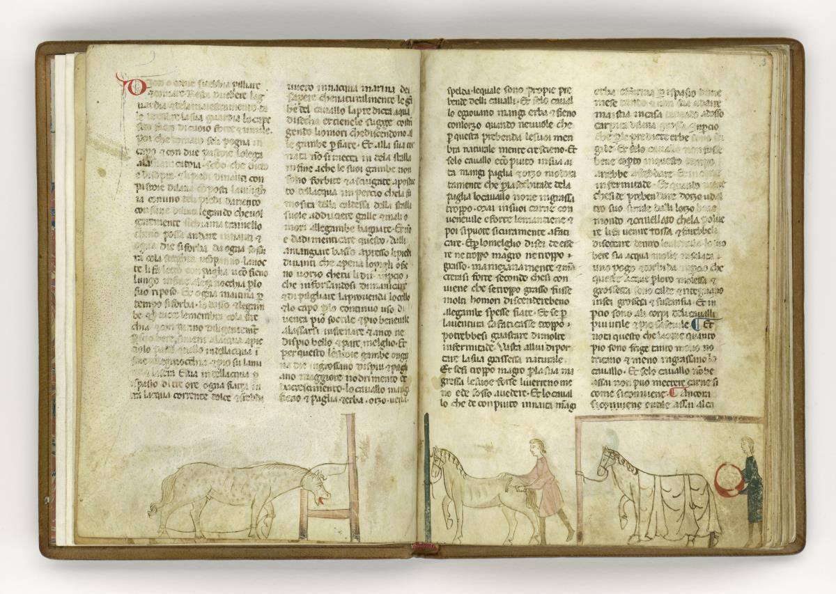 Giordano Rosso, Libro delle Mariscalcie dei cavalli. Füttern und Striegeln der pferde