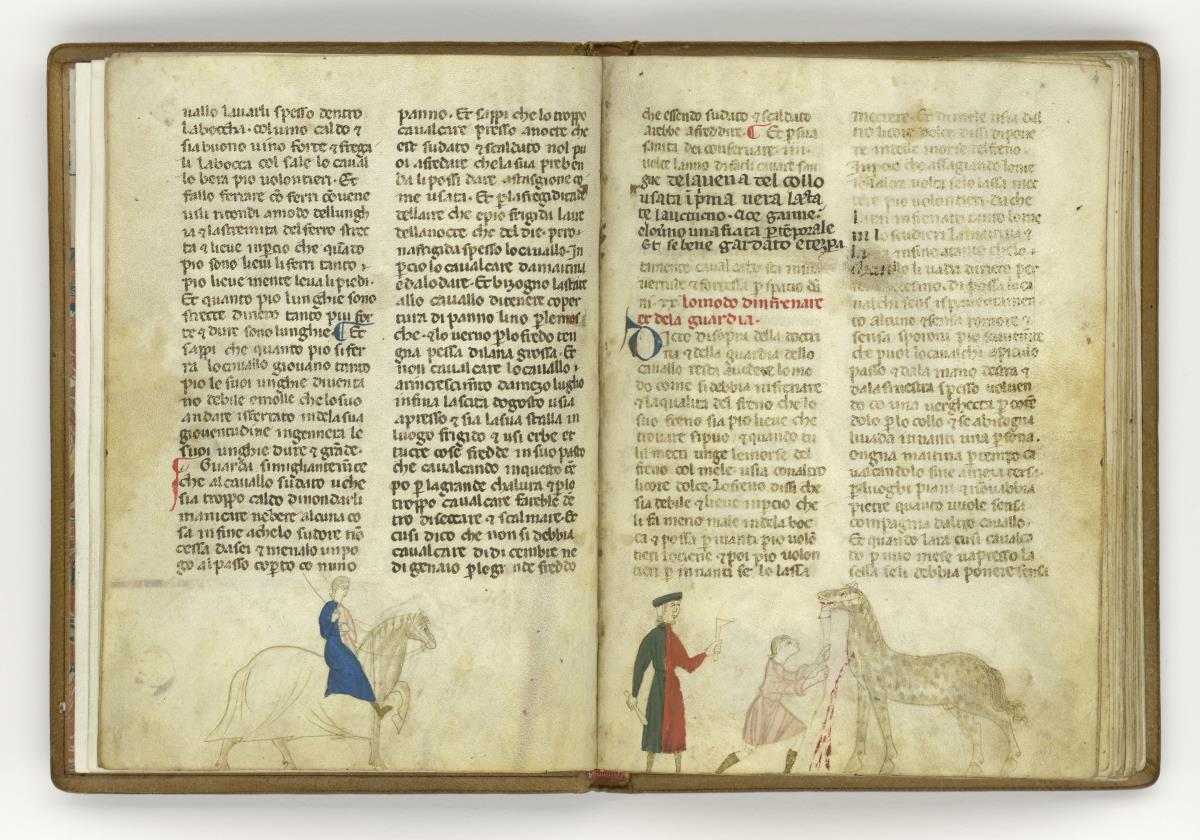 Giordano Rosso, Libro delle Mariscalcie dei cavalli. Bewegen eines Pferdes