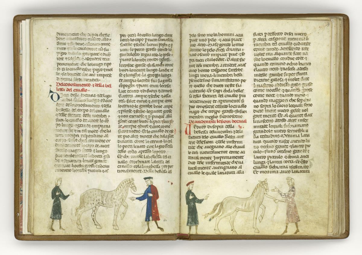 Giordano Rosso, Libro delle Mariscalcie dei cavalli. Pferdekauf